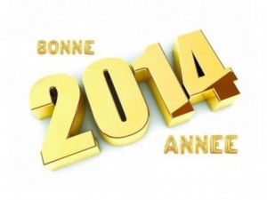 bonne année 2014